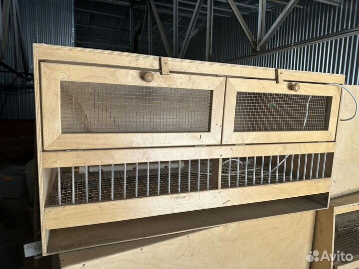 Брудер для цыплят