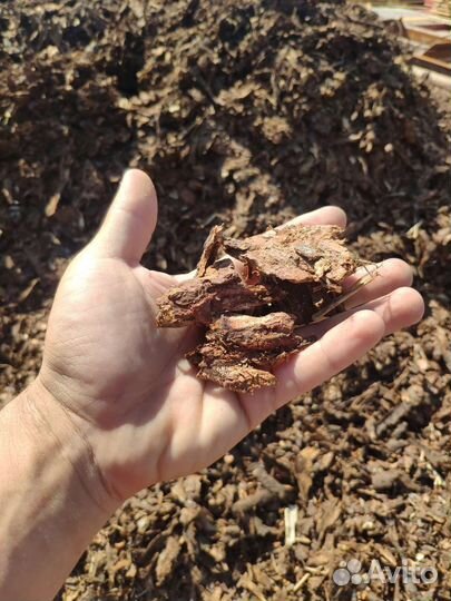 Кора сосновая мульча