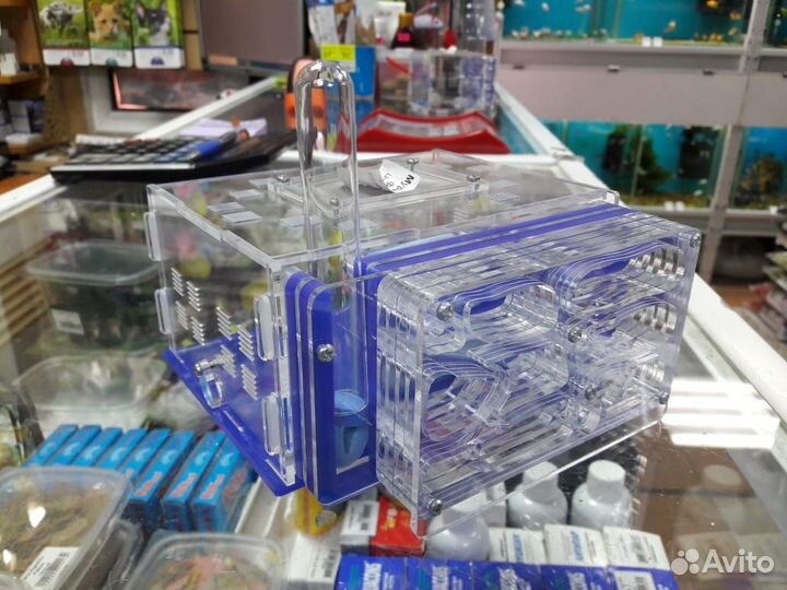 Формикарий (муравьиная ферма), новые, разные