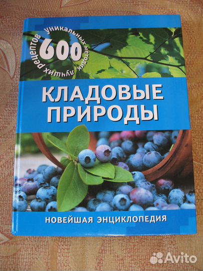 Кладовые природы (С. О. Медникова)