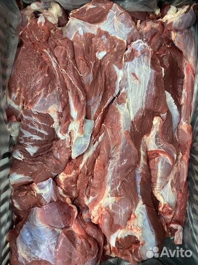 Мясо говядина бескостная, блочка