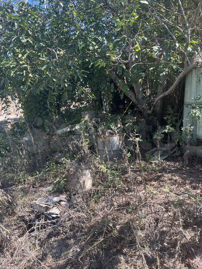 Участок 6,3 сот. (СНТ, ДНП)