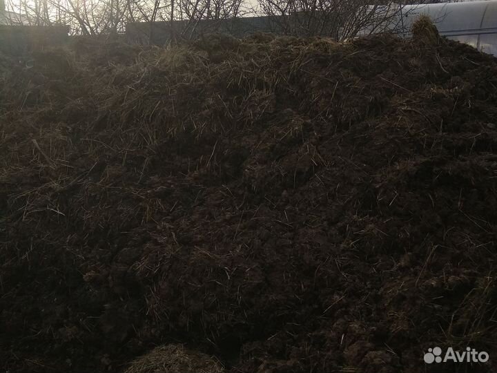 Навоз бесплатно