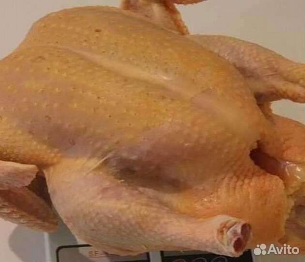 Мясо бройлерных кур