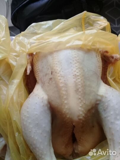 Мясо домашнего бройлера