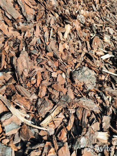 Кора сосны мульча