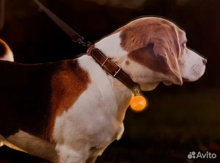 Светящийся кулон на ошейник