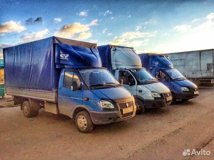 Водитель на газель