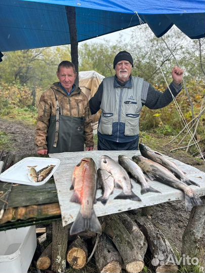 Рыбалка и отдых на Камчатке