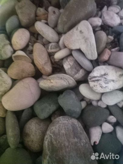 Камни морские б.у
