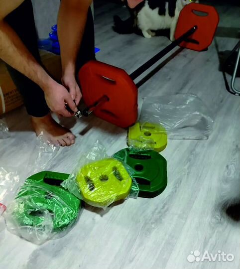 Штанга с блинами