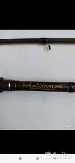 Спиннинг maximus
