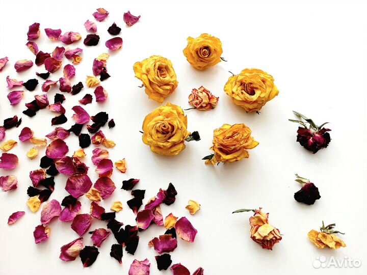 Сухоцветы для творчества розы
