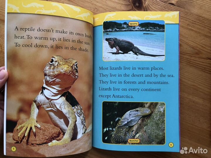 National Geographic Kids Level 2 (english)