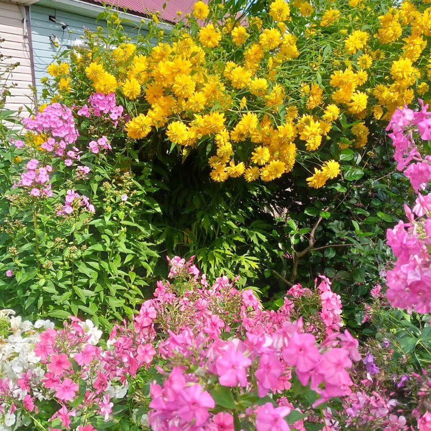 Квартира 3-комн. 54.3 м² в с. Парабель — фото 3