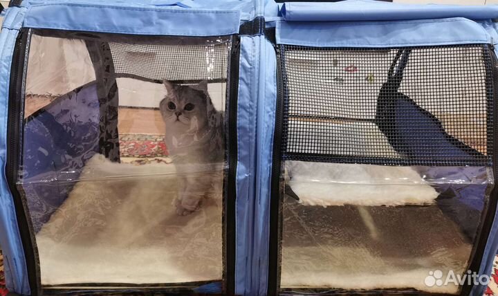 Выставочная палатка для кошек