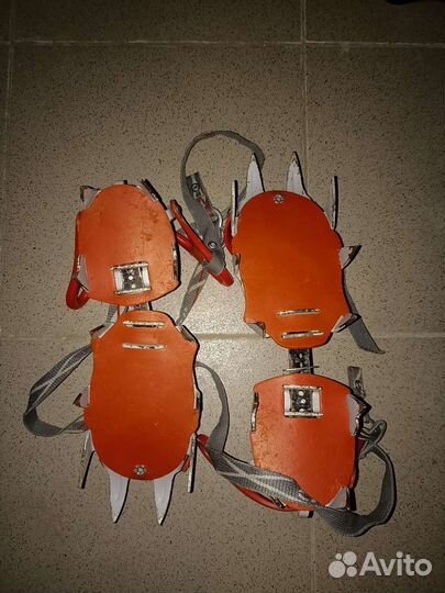 Кошки Camp Stalker