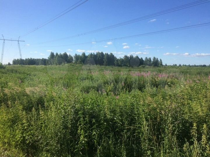 Участок 2,2 га (ИЖС)