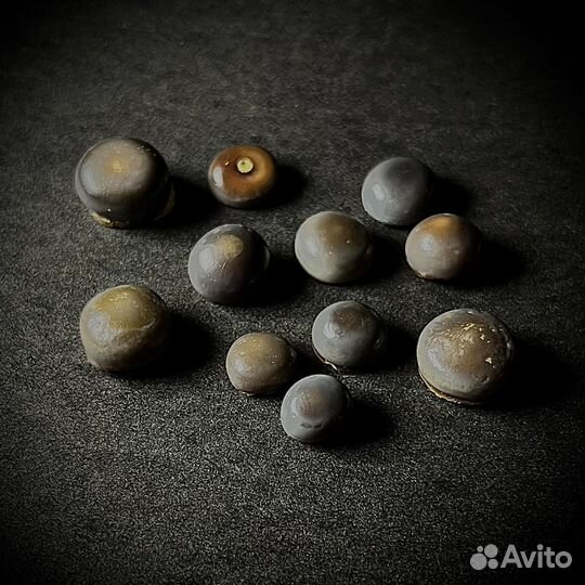 Зубы Pycnodus sp. окаменелость ископаемое