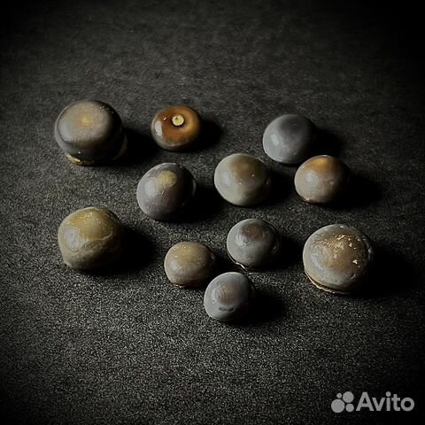 Зубы Pycnodus sp. окаменелость ископаемое