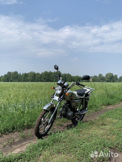 Alpha Virago 110 (irbis)