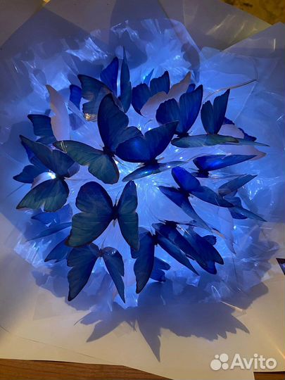 Букет из бабочек