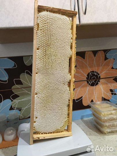 Мед, соты, пчелпакеты