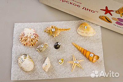 Коллекция морское дно