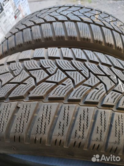 Dunlop Winter Sport 5 205/55 R16 91T