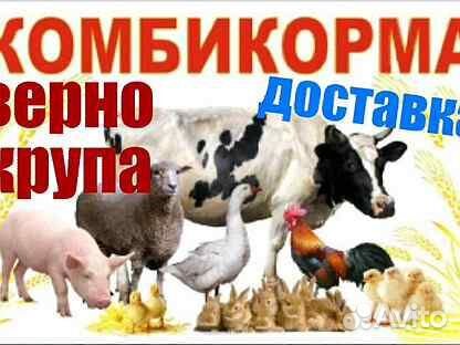 Доставка кормов для с/х животных и птицы