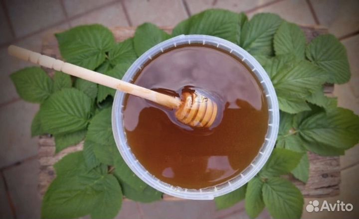 Мед 2023 года