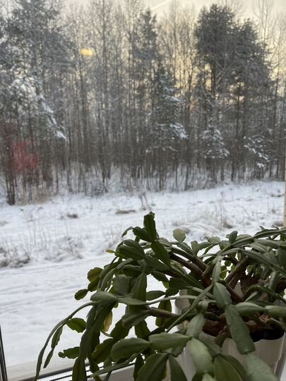 2-к. квартира, 51 м², 1/3 эт.