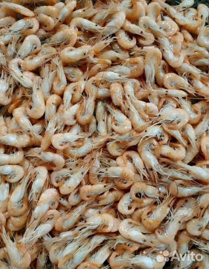 Креветка маленькая, сочная