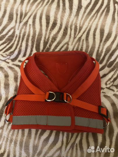 Анатомическая шлейка для собак