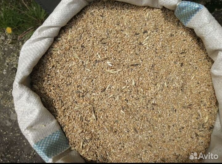 Комбикорм для кур