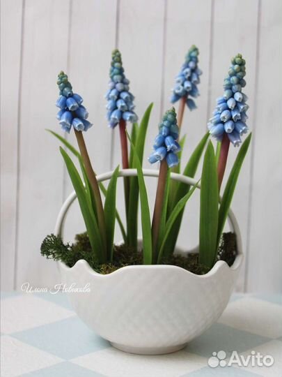 Мускарики цветы