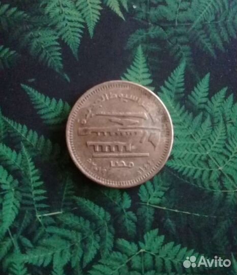 Коллекция монет