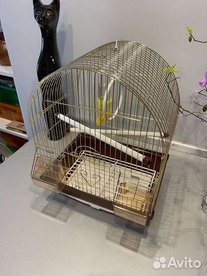 Клетка для птиц (+ корм для канареек)