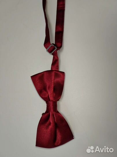 Бабочка галстук