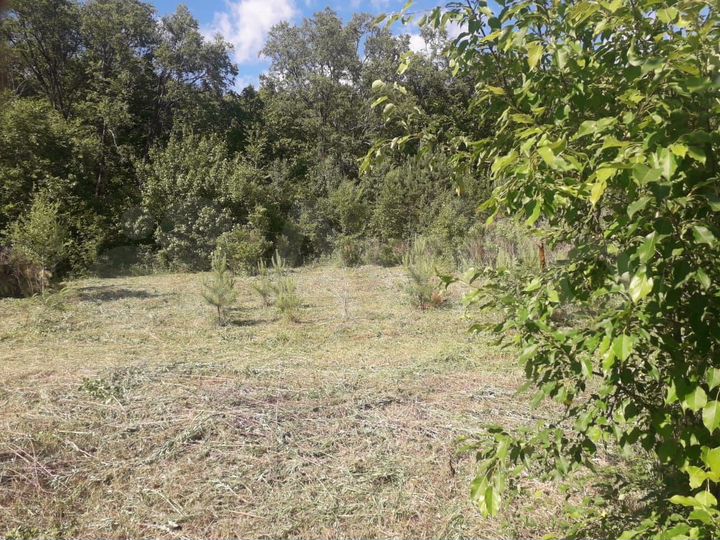 Участок 14 сот. (СНТ, ДНП)