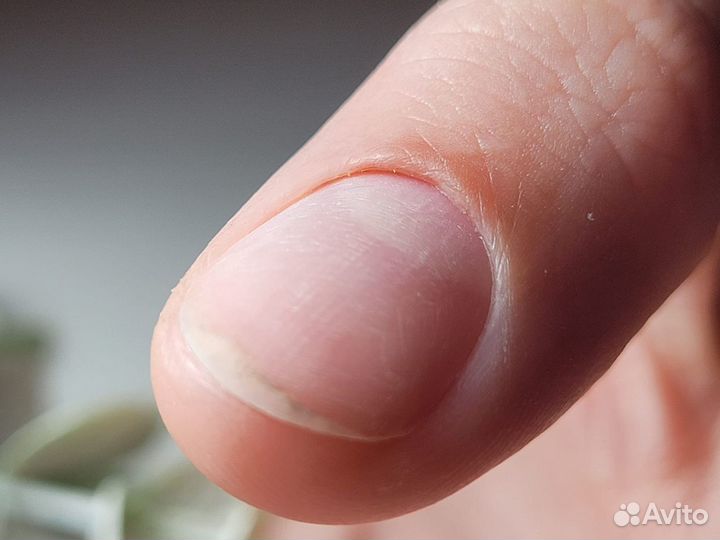 Маникюр с покрытием гель-лаком