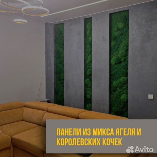 Панели из стабилизированного мха