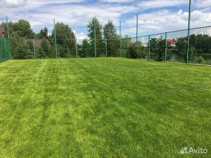 Отсыпка участка. Рулонный газон под ключ. Дренаж