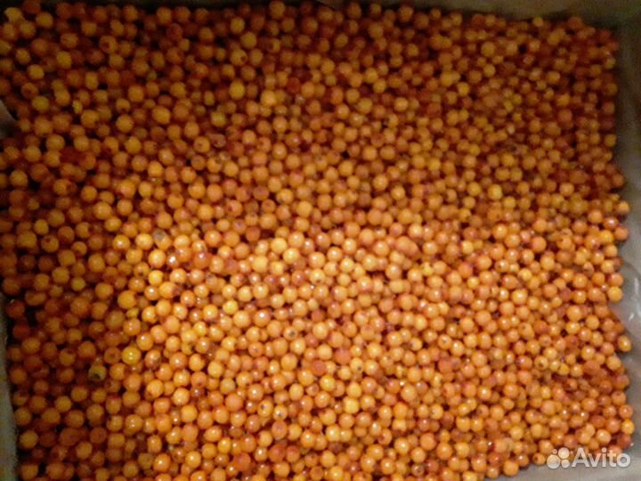 Облепиха замороженная