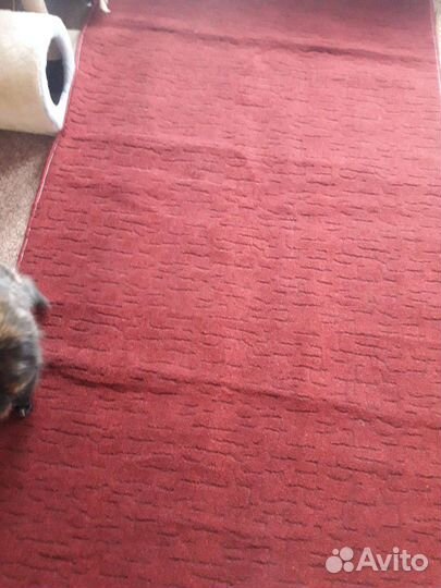 Ковер палас дорожка