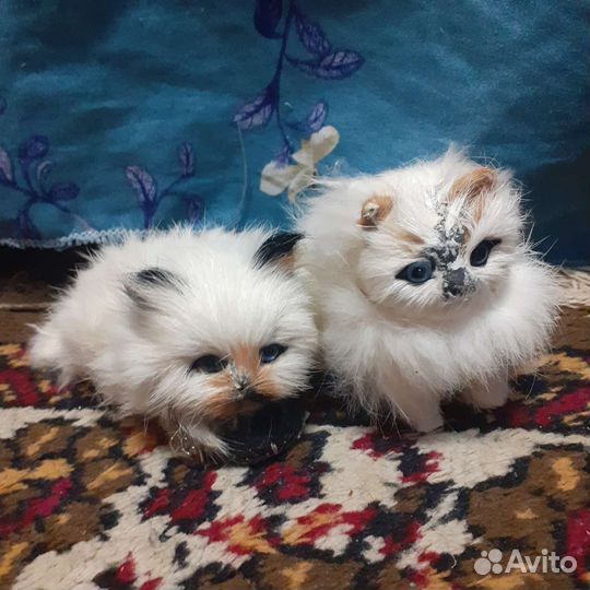 Отдам статуэтки слоников.аромолампа