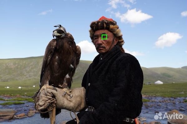 Sony Alpha ilce-6600 Body