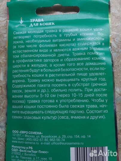 Трава для кошек