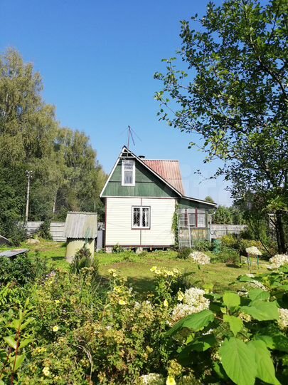 Дом 26,6 м² на участке 10 сот.