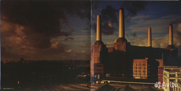 Pink floyd